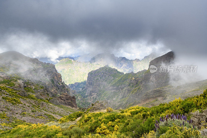 马德拉岛的山在Pico do ariiro和云彩在高山上